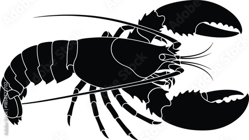 A striking black and white illustration of a detailed lobster silhouette