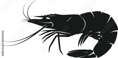A simple black and white illustration of a shrimp with long antennae