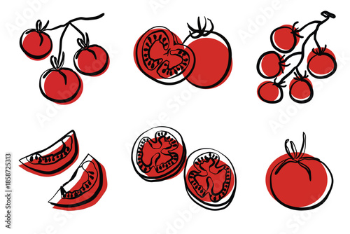 Set of tomato icons. Cherry tomatoes on a vine, sliced in doodle sketch style. Vector illustration with tomatoes for restaurant and café menu design, packaging design.