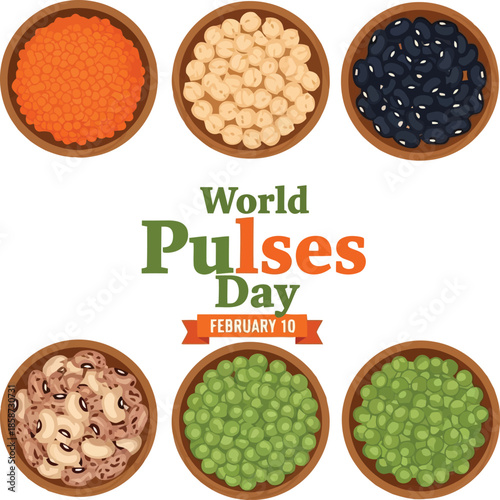 World pulses day illustration: diverse legumes, beans, lentils, and chickpeas in bowls vector