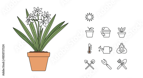 Potted flowering plant shown with a set of garden care icons including sun exposure watering temperature and maintenance tools.
