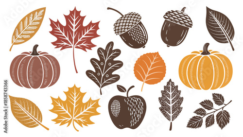 Autumn leaves and pumpkins in warm colors for fall designs