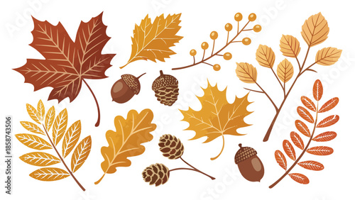 Autumn leaves and forest elements in warm golden hues