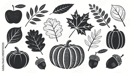 Autumn harvest icons with leaves, pumpkins, and acorns