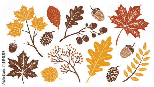 Autumn leaves and acorns in warm golden brown hues