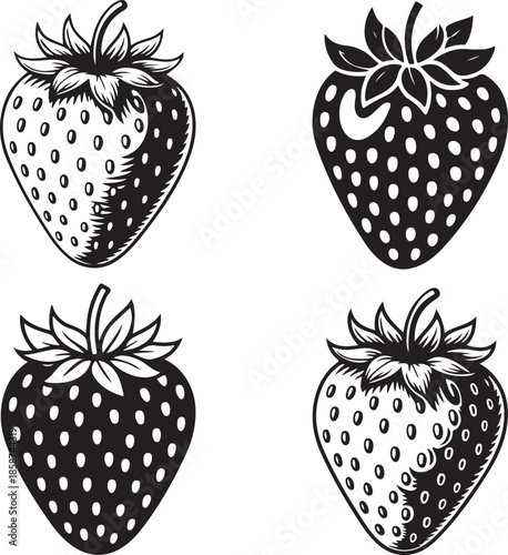 Four monochrome vintage strawberry illustrations different styles detailed engraved berries healthy summer fruit snack sweet