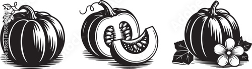 Three vector illustrations of pumpkins in vintage woodcut style whole sliced and decorated squash perfect for harvest and halloween themes