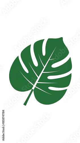 A stylized dark green Monstera deliciosa leaf with iconic splits and a central vein, isolated on white