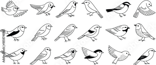 Bird illustrations, black and white, stylized poses, flying birds, perched birds, feather patterns, vector art, avian design, minimal style