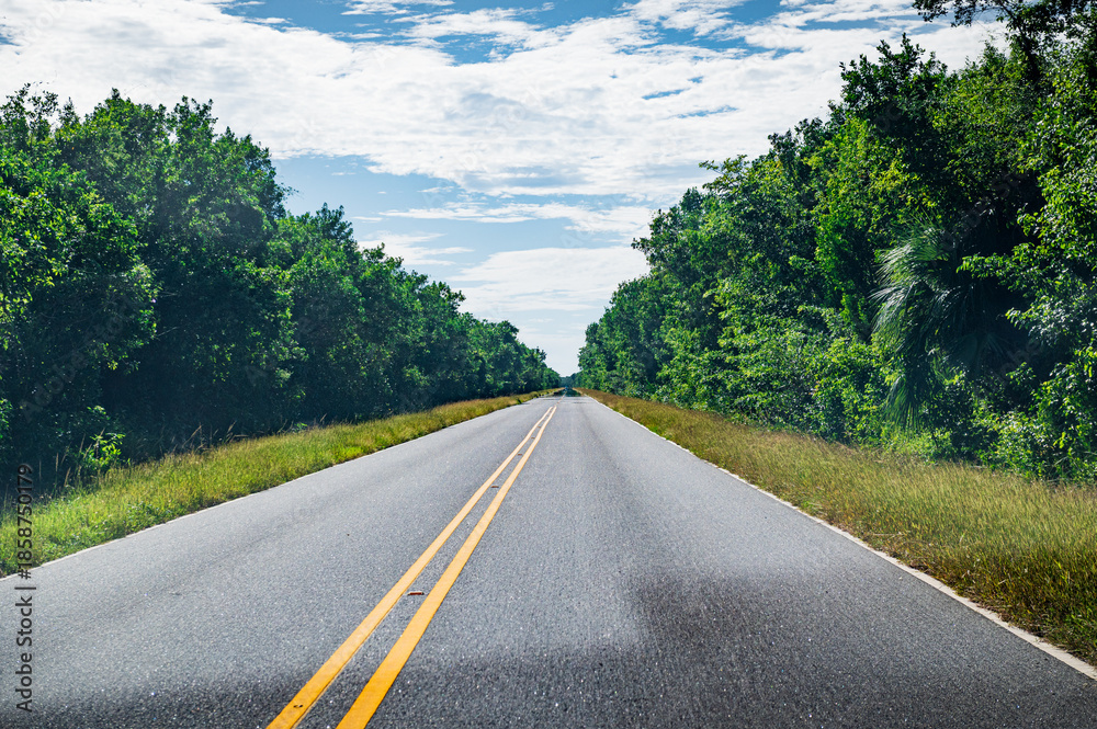 Fototapeta premium Longue ligne droite au milieu des arbres sur la Main Park Road, la State Highway 9336 du parc des Everglades un jour ensoleillé avec quelques nuages dans le ciel, Floride