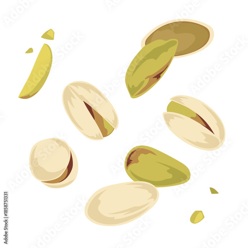 pistachio – Hand Drawn Food Illustration Isolated on White Background