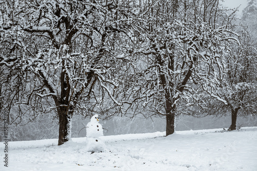 A snowman stands in a meadow with old fruit trees