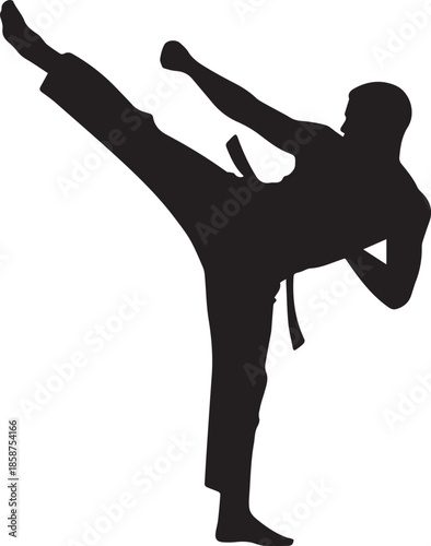 Black silhouette of a person performing a side kick in martial arts karate fighting