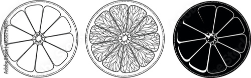 Citrus Orange Slice Vector Set with Outline Minimalist Detailed Pulp Texture and Black Silhouette Graphic Design Elements for Fresh Food Branding