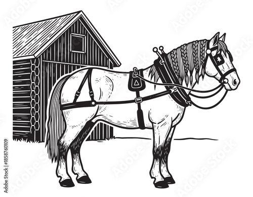 Horse in harness standing by barn — ideal for agricultural theme, farming history, rustic design and vintage farm content.