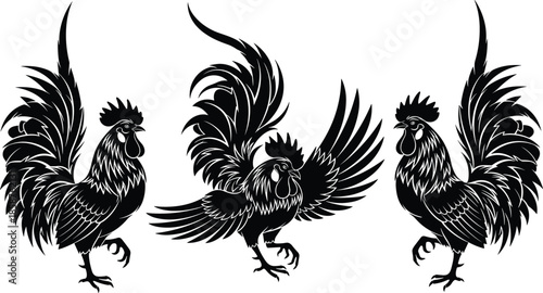 Black and white rooster silhouettes set, decorative farm bird illustrations, traditional cock fighting poses, tribal poultry tattoo designs, isolated vector bird graphics