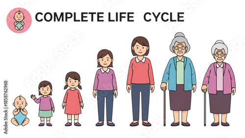 Illustration of a woman's life stages from infancy to old age standing in a line