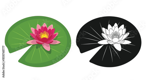 Colorful and monochrome water lily flower illustrations on green and black pads