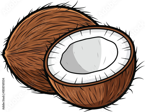 Whole and halved brown coconut with white flesh whole coconut