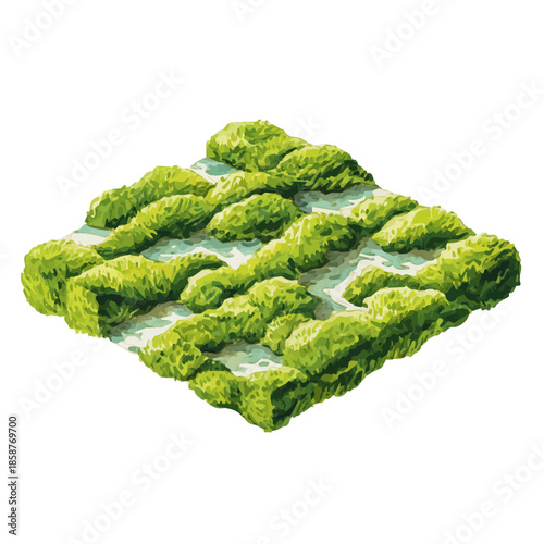 A watercolor isometric illustration of Moss, cleanly isolated on white background.
