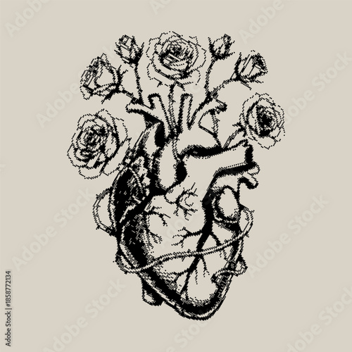 Black and white illustration of a human heart with roses growing out of it