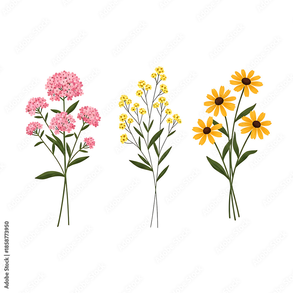 Obraz premium Illustrated Set of Flowers Pink Yellow Daisies on White Background