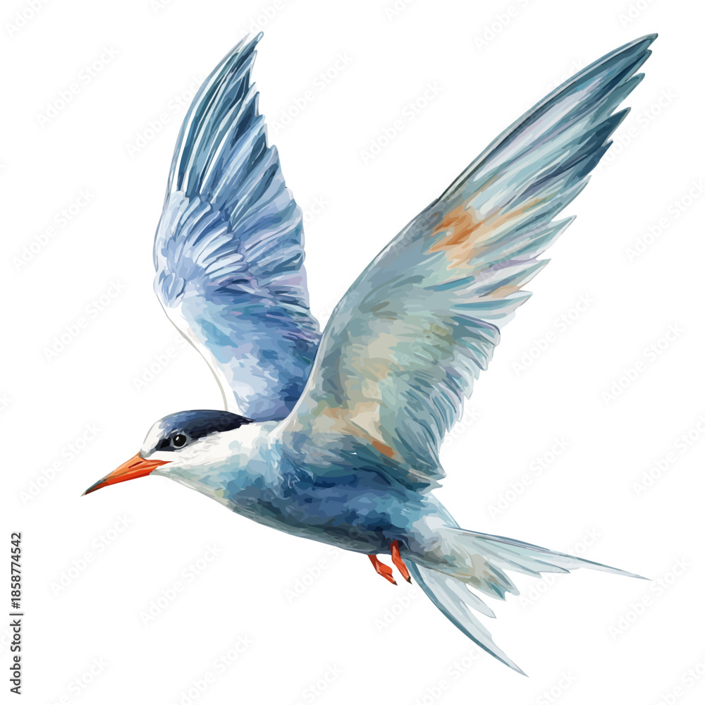 Obraz premium Tern in detailed isometric watercolor art, isolated on a pure white backdrop.