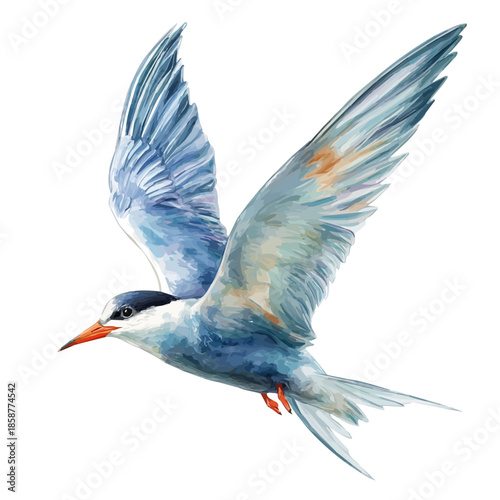 Tern in detailed isometric watercolor art, isolated on a pure white backdrop.