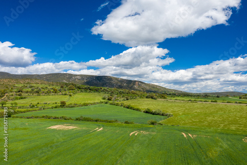 Wallpaper Mural Expansive green fields stretch toward gently sloping hills beneath a vivid blue sky filled with puffy white clouds near Bierge, Spain. The landscape is lush and vibrant, evoking a sense of calm and Torontodigital.ca
