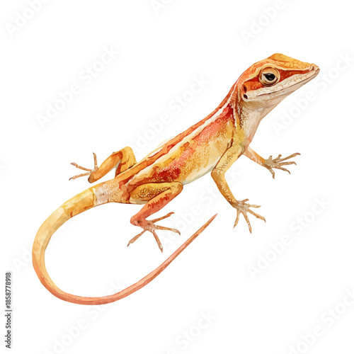 Anole in detailed isometric watercolor art, isolated on a pure white backdrop.