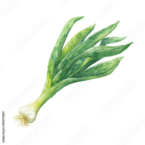 Leek in detailed isometric watercolor art, isolated on a pure white backdrop.