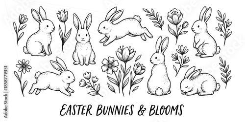 Vector set of hand drawn Easter bunnies and spring flowers. Vintage engraving style sketch collection isolated on white background.