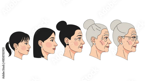 Illustration of a woman's life stages from youth to old age depicted in a series of profile portraits