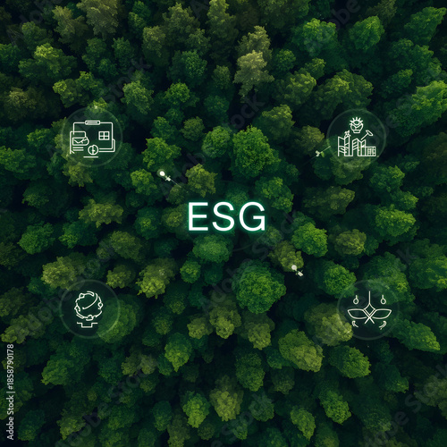 ecology concept with green grass