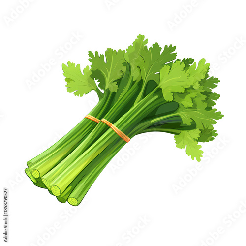 Vibrant Fresh Celery Bunch for Healthy Diet