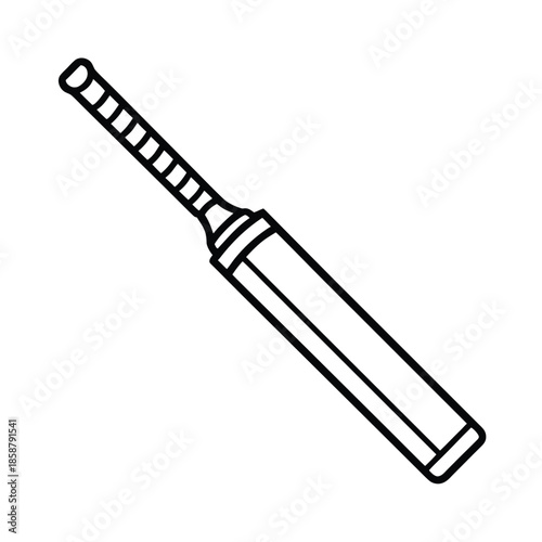 cricket bat