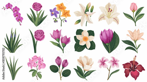 A collection of various flowers and plants with vibrant colors and detailed illustrations