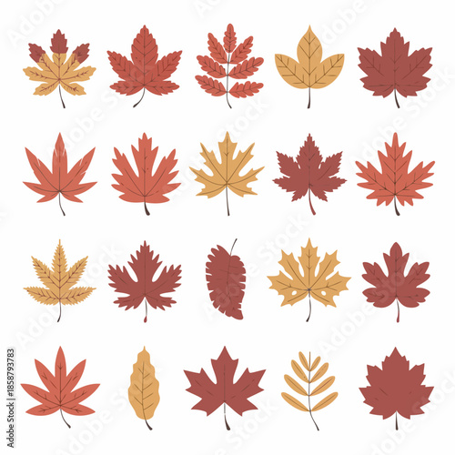 A collection of autumn leaves in various colors and shapes