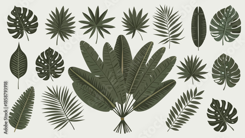 Collection of various tropical leaves and ferns in black and white illustration style