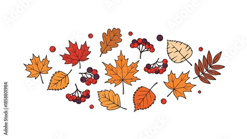 Collection of autumnal leaves and berries scattered on a white background
