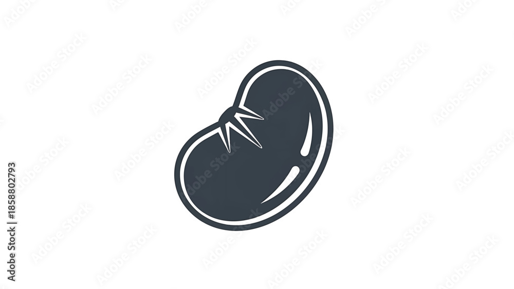 Fototapeta premium A simplified, dark blue bean shape with a white outline and curved lines on a white background