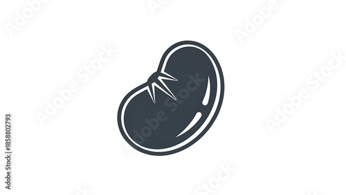 A simplified, dark blue bean shape with a white outline and curved lines on a white background