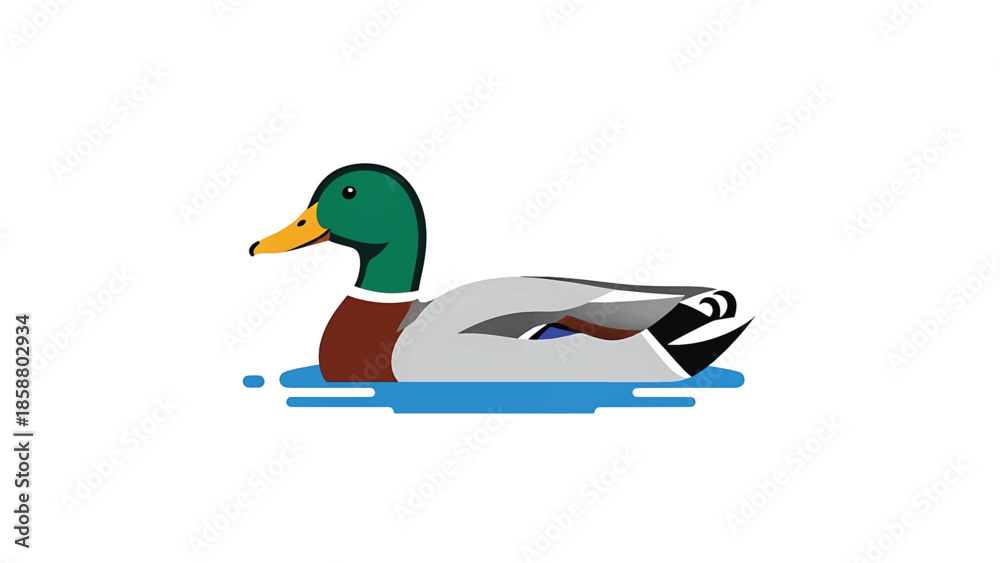 Obraz premium A detailed, colorful illustration of a mallard duck swimming in blue water