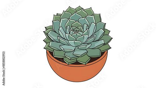 Stylized illustration of a green succulent plant in a terracotta pot