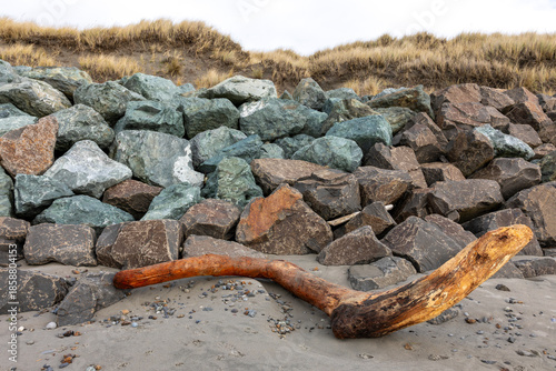 Coastal Rock Wall with driftwood