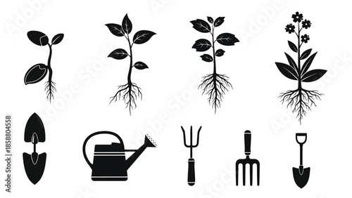 Stages of plant growth with gardening tools in a monochrome illustration