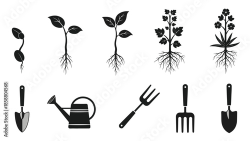 Stages of plant growth with gardening tools in monochrome illustration