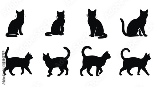 Various black silhouettes of cats in different poses and orientations