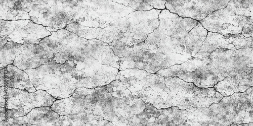 Aged grunge pattern of old cracked wood bark texture with a rough weathered surface and antique plaster material backgrounds