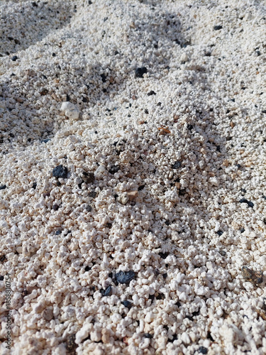 Popcorn Beach. Rhodoliths on the beach. Texture of calcareous structures. Rhodolith seabed resembling popcorn. Calcium carbonate seabed. Chemical compounds.